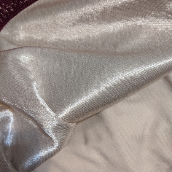 Sangria Sleeveless Burgundy Mesh Lace Panel Gown - Picture 7 of 7